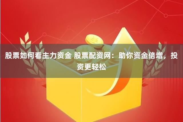 股票如何看主力资金 股票配资网：助你资金倍增，投资更轻松